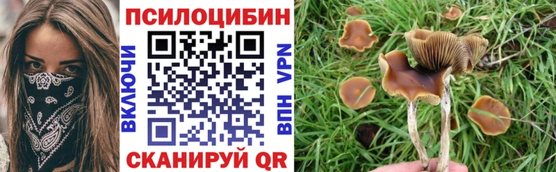 Галлюциногенные грибы Magic Shrooms  Отрадное 