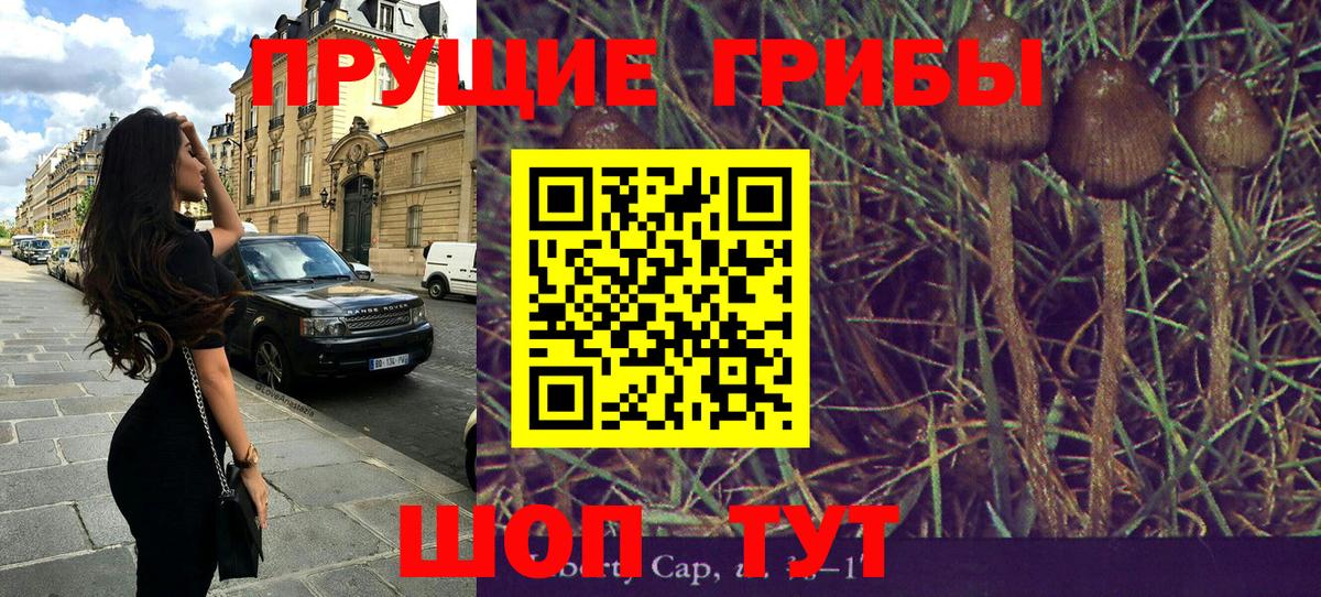 Псилоцибиновые грибы Psilocybine cubensis Отрадное