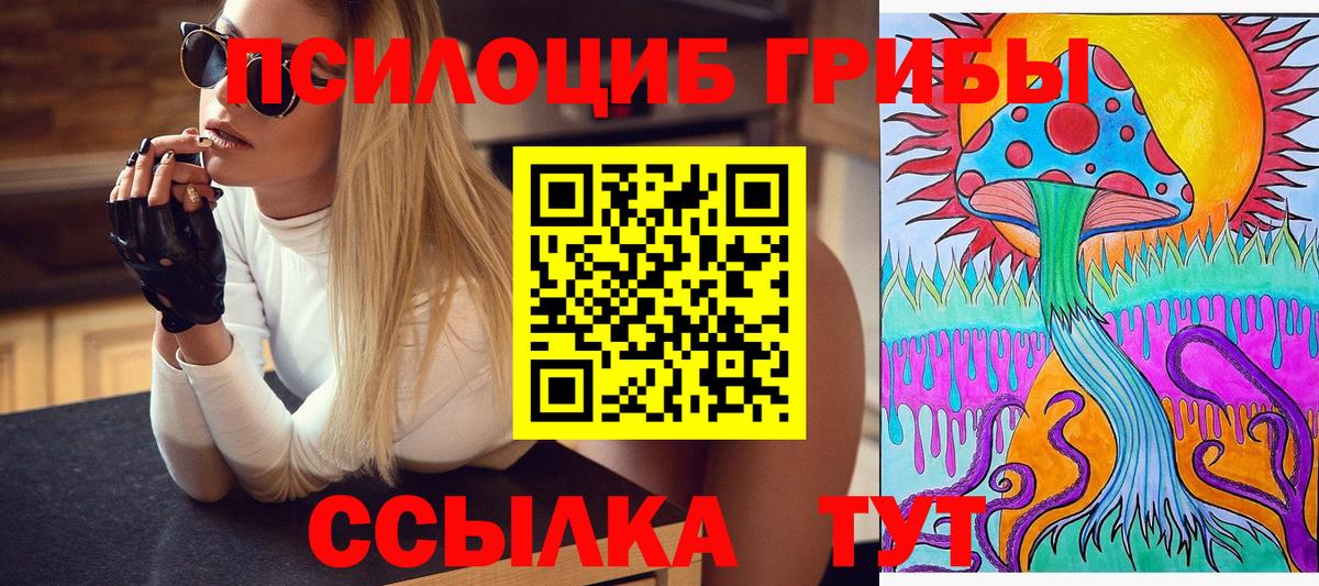 Псилоцибиновые грибы Magic Shrooms  Псилоцибиновые грибы прущие грибы  Отрадное  Вход с VPN 