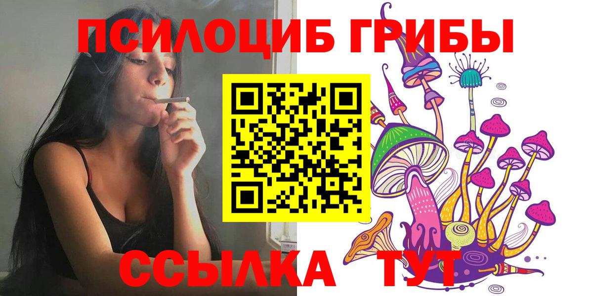 Галлюциногенные грибы Psilocybe Отрадное