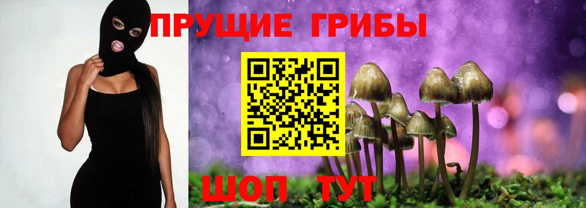 НБОМе Отрадное