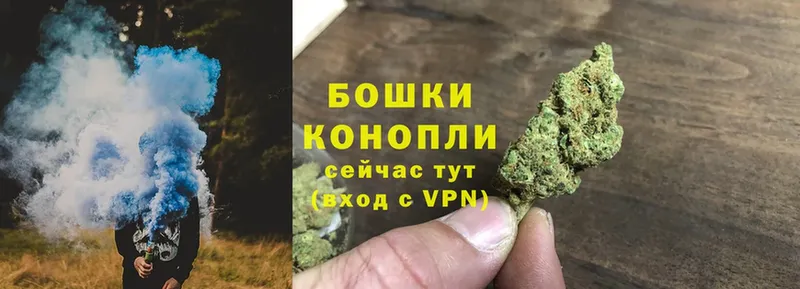 Марихуана Amnesia  купить  цена  ссылка на мегу как войти  Отрадное 